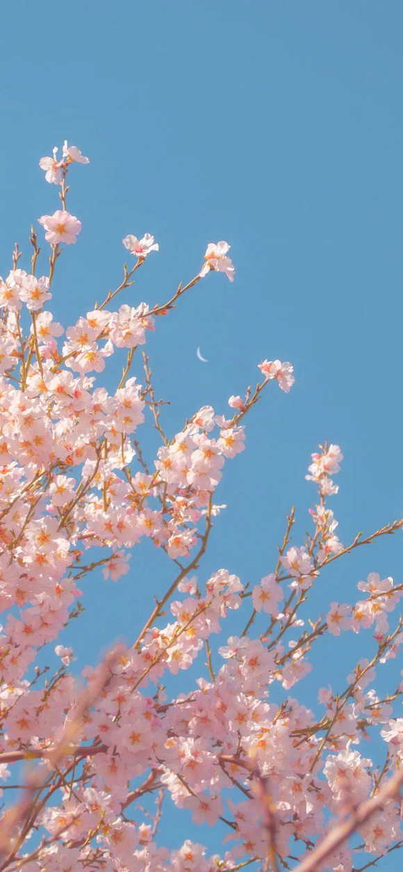 ����һЩ��ֽ!-5.jpg