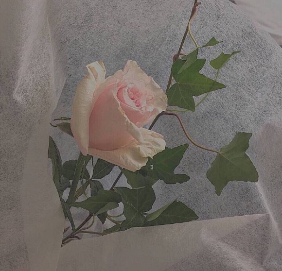����һЩ��ֽ!-9.jpg