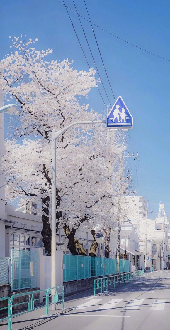 ����һЩ��ֽ!-9.jpg