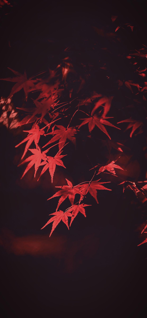 ����һЩ��ֽ!-6.jpg