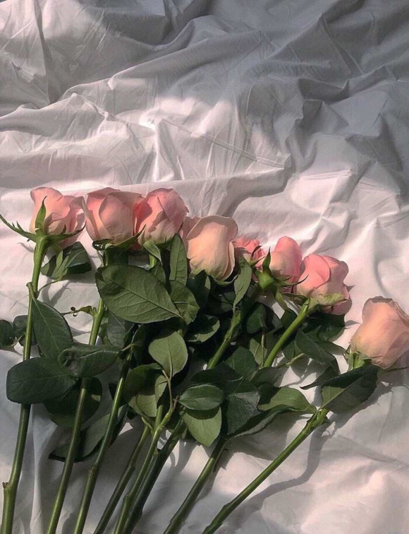 ����һЩ��ֽ!-3.jpg
