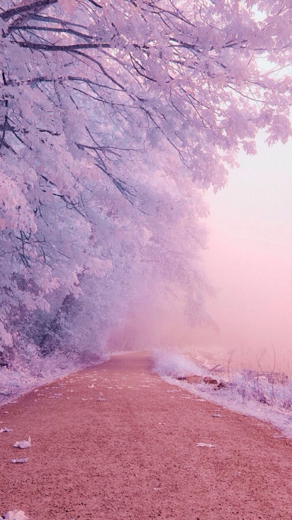 ����һЩ��ֽ!-8.jpg