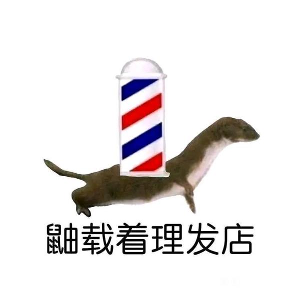 ������˵,�����ĸ�λ��û�����ű�ֽ-2.jpg