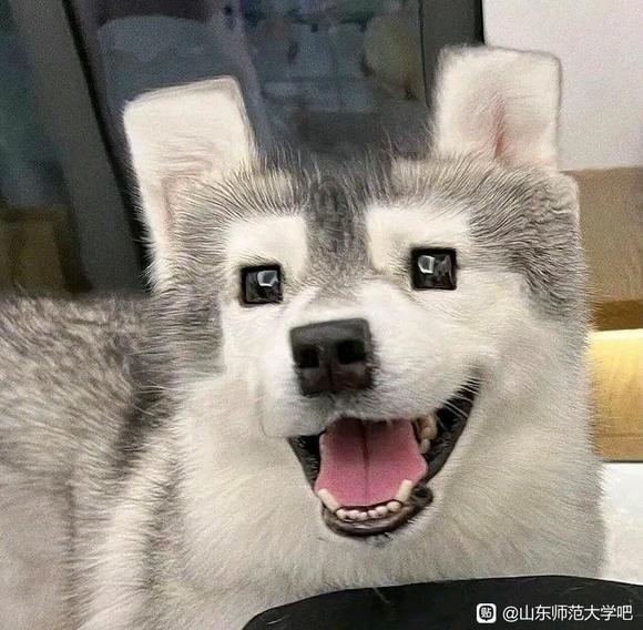 ����ѧУ������Ʒ����Ⱥ-1.jpg