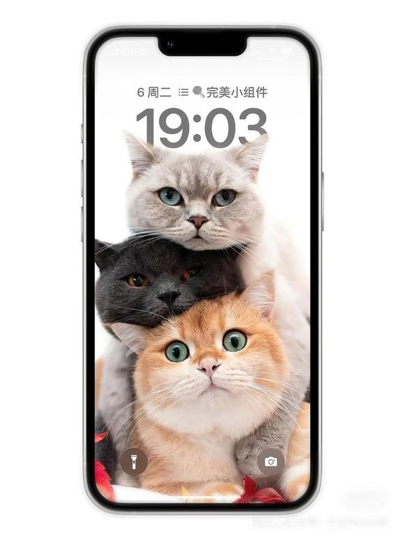 iOS16�����ֽ��ĺ����-1.jpg