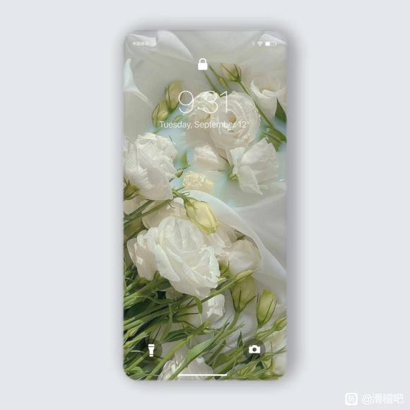 ���ɱ�ֽ����-5.jpg