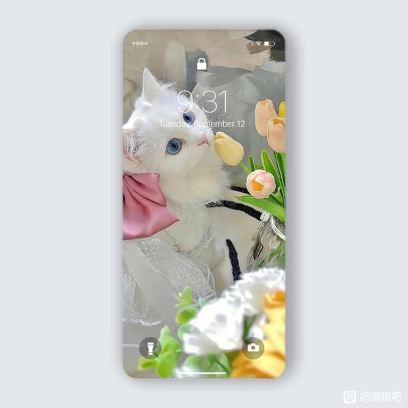 ���ɱ�ֽ����-4.jpg