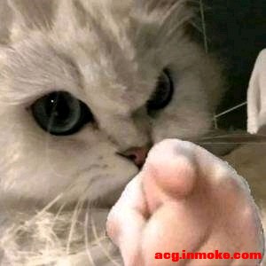 �����Ŷ���Ů���ı�ֽ-1.jpg
