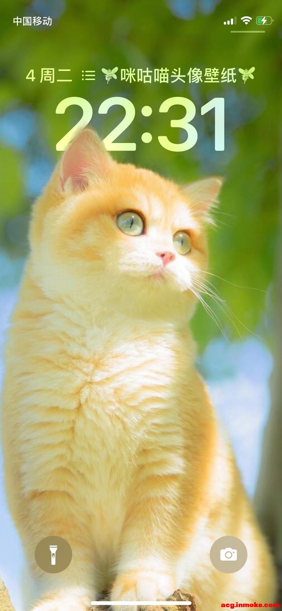 �����ֽ�Ƽ�-3.jpg
