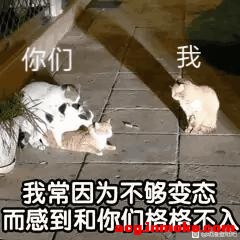 8u��,����Ա�ֽ-1.jpg