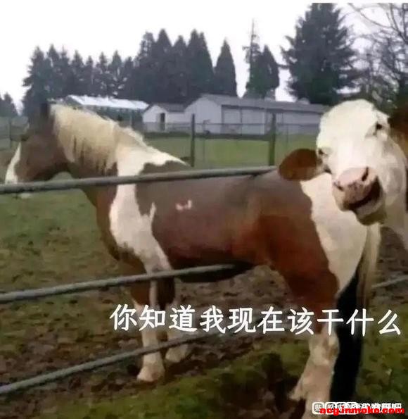 ����!�����ֽ����?����һ��-1.jpg