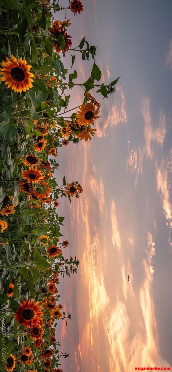 �Լ����ñ�ֽ-5.jpg