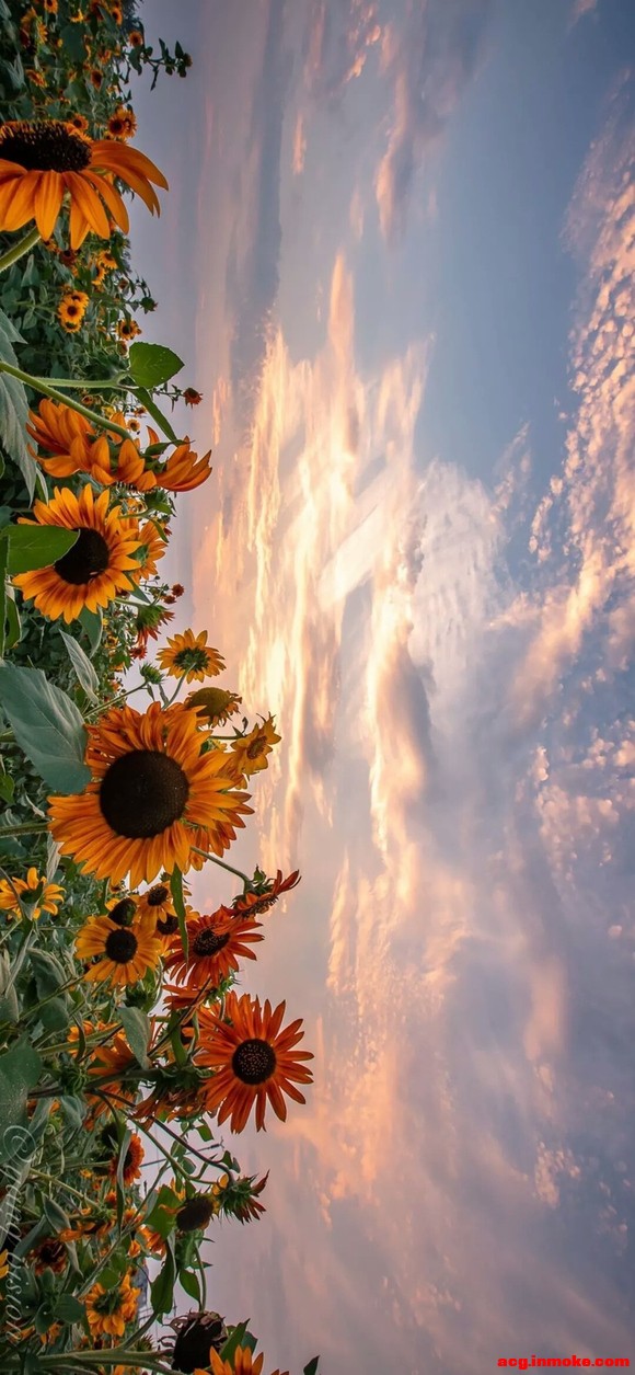 �Լ����ñ�ֽ-2.jpg