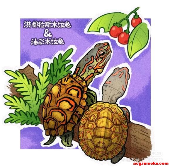 �����ֽ��-2.jpg