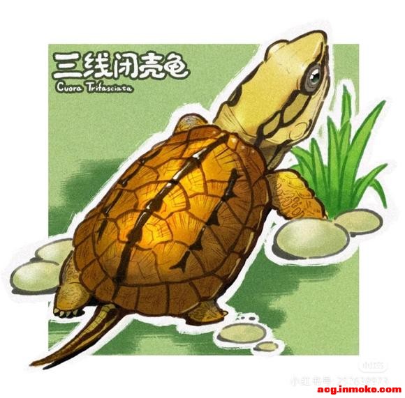�����ֽ��-5.jpg
