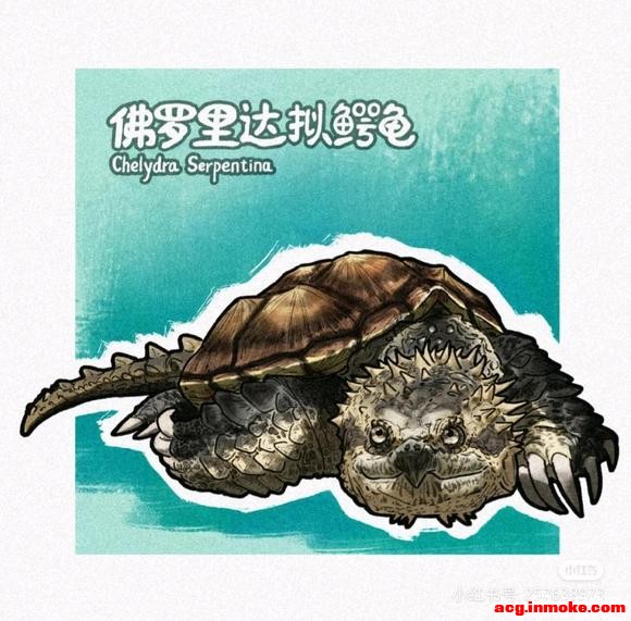 �����ֽ��-7.jpg