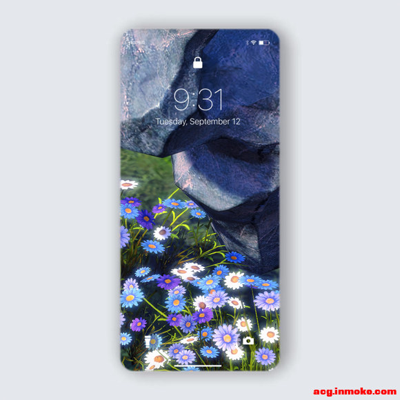��֮��|����ֲ���ֽ&amp;amp;����ز�-2.jpg