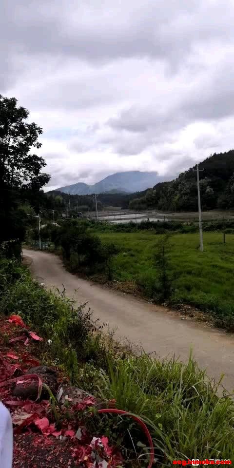 ��ÿ����ֻ���ֽ-1.jpg