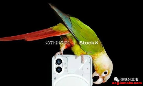 ���������ֻ�Nothing Phone1 �±�ֽ-1.jpg