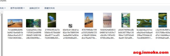 ��win11�����ֽ��windows�۽�����-3.jpg