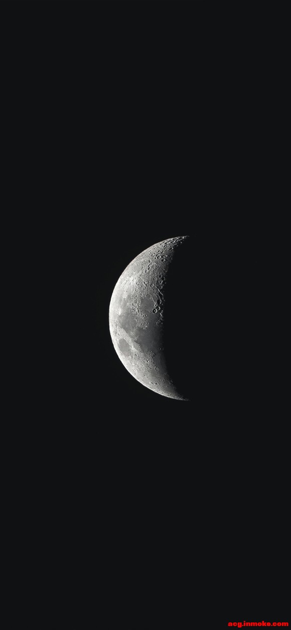 ÿ�ձ�ֽ����-2.jpg
