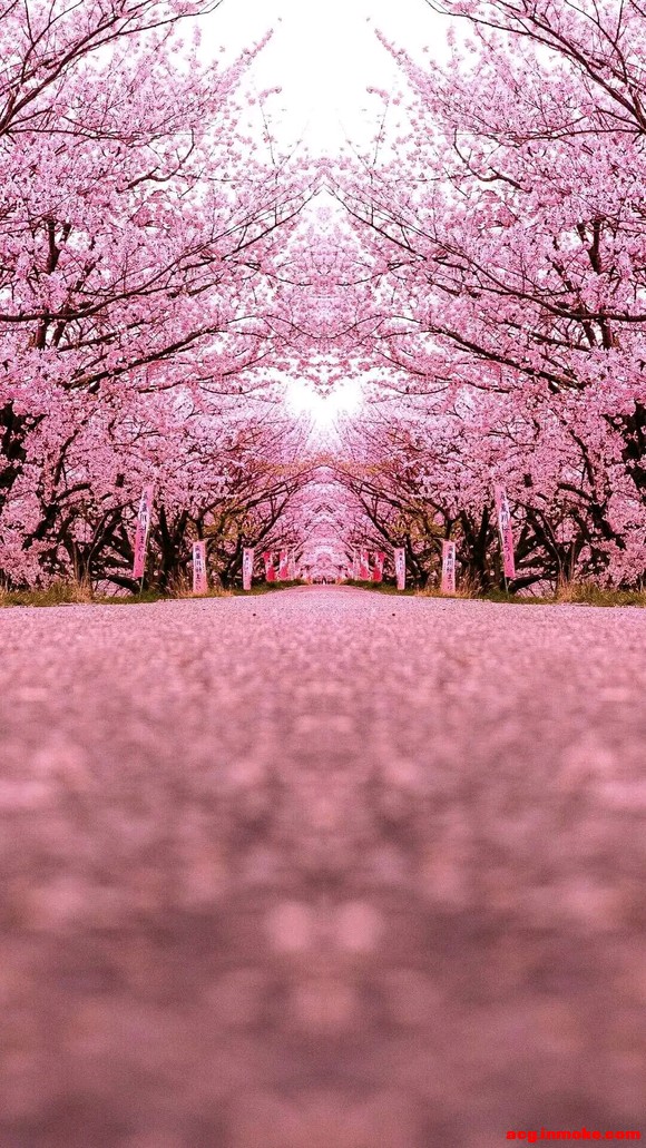 �������ʺ��ֻ���ֽ��ͼƬ-3.jpg