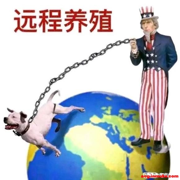 ����С���-1.jpg