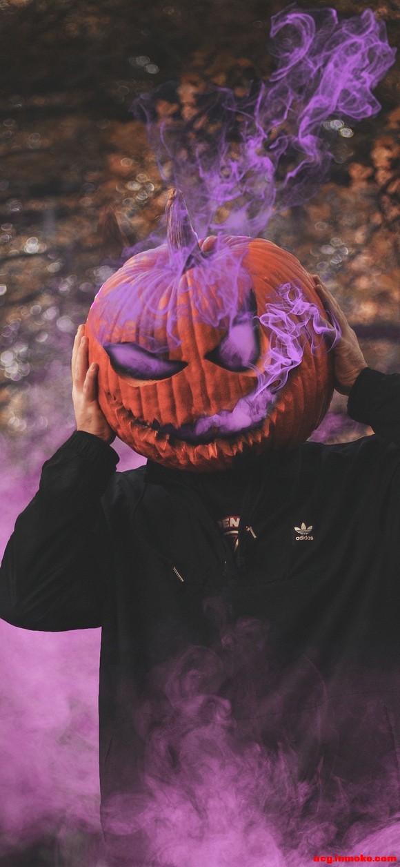 ����ɹ�±�ֽ-1.jpg