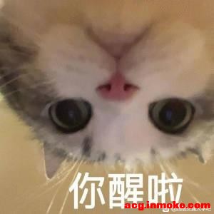 ��ָ�����˷�����ֻ���ֽ-1.jpg