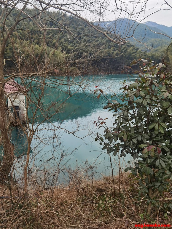 ��ָ���������ٷ������ֻ�ƽ����ߵ��Եı�ֽ��������һ��-2.jpg