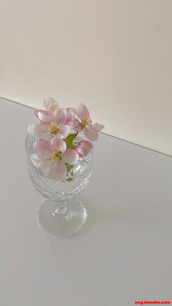4.22 С�ڱ�ֽ-1.jpg