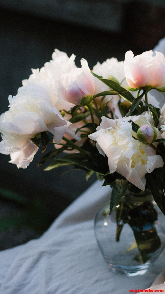 4.22 С�ڱ�ֽ-2.jpg