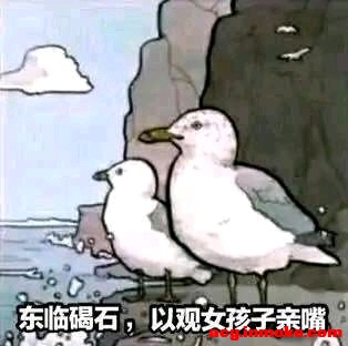 ����������ˮ�����Ӻ�ˮ���ı�ֽ!-1.jpg