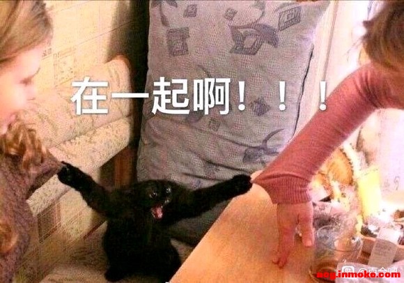 ��������С��ֽ��������������-1.jpg