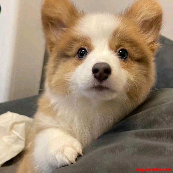 ����ֽ��ͷ��+����ͼ+����-4.jpg