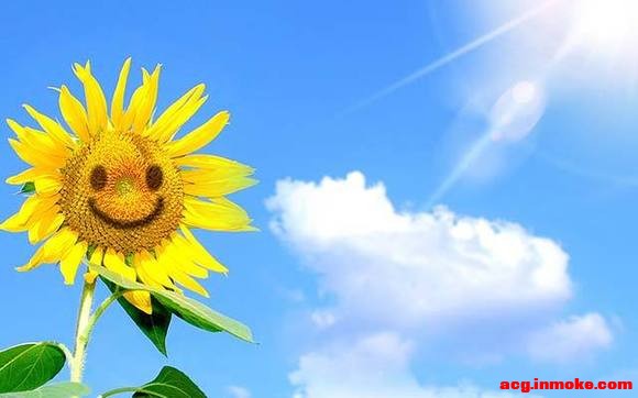 ĳ����ֽ��,����С��Ҳ�ܲ���-1.jpg