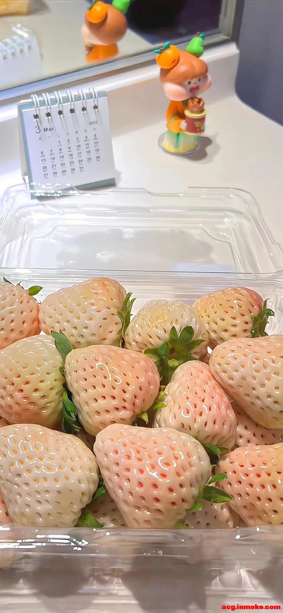 7��13�ո����ֽ����-5.jpg