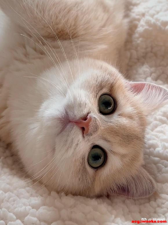 ���Ӻ����콿�ε�����ô����(ͷ���ֽ��-4.jpg