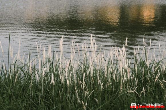 �������ɽ���̡������ֽϵ��-1.jpg