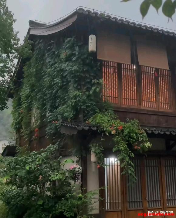 ��û�д����ܷ���һ�����ַ��Ķ�̬��ֽ-2.jpg