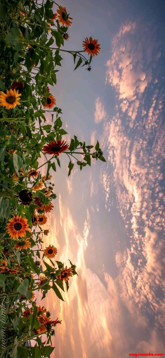 ����һЩ��ֽ-1.jpg