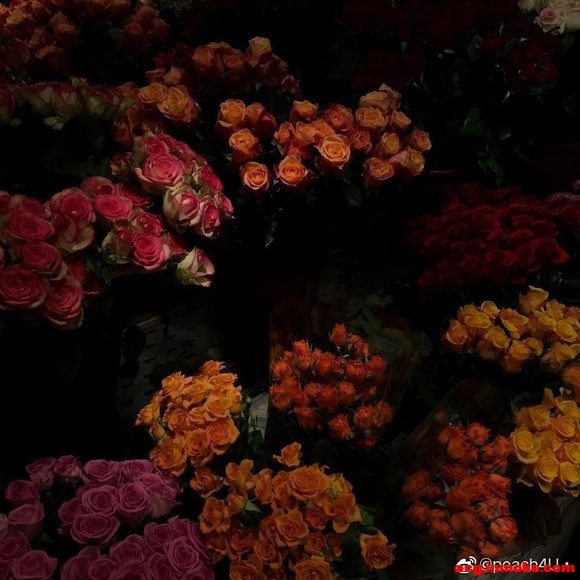 ���ձ�ֽ�߼����䵭������-1.jpg
