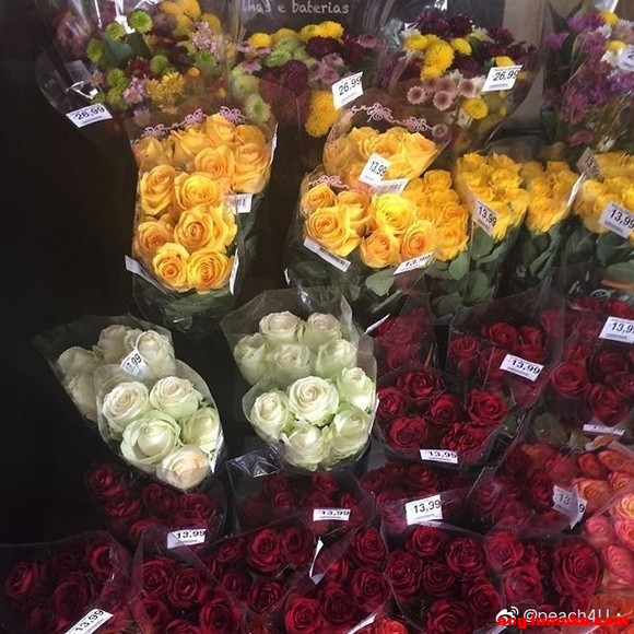 ���ձ�ֽ�߼����䵭������-4.jpg