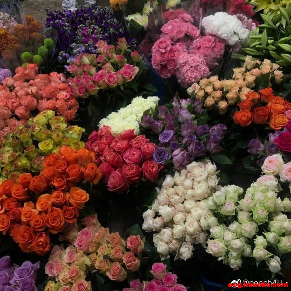 ���ձ�ֽ�߼����䵭������-7.jpg