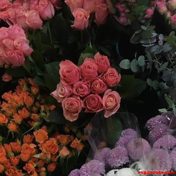 ���ձ�ֽ�߼����䵭������-8.jpg