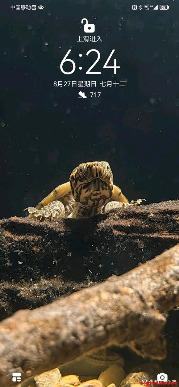 �Լ��Ĺ�����ֽ��-1.jpg