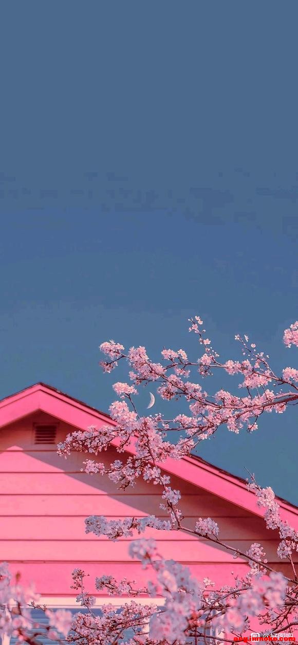 ��ֽ|���޵�С�����ֻ���ֽ-2.jpg