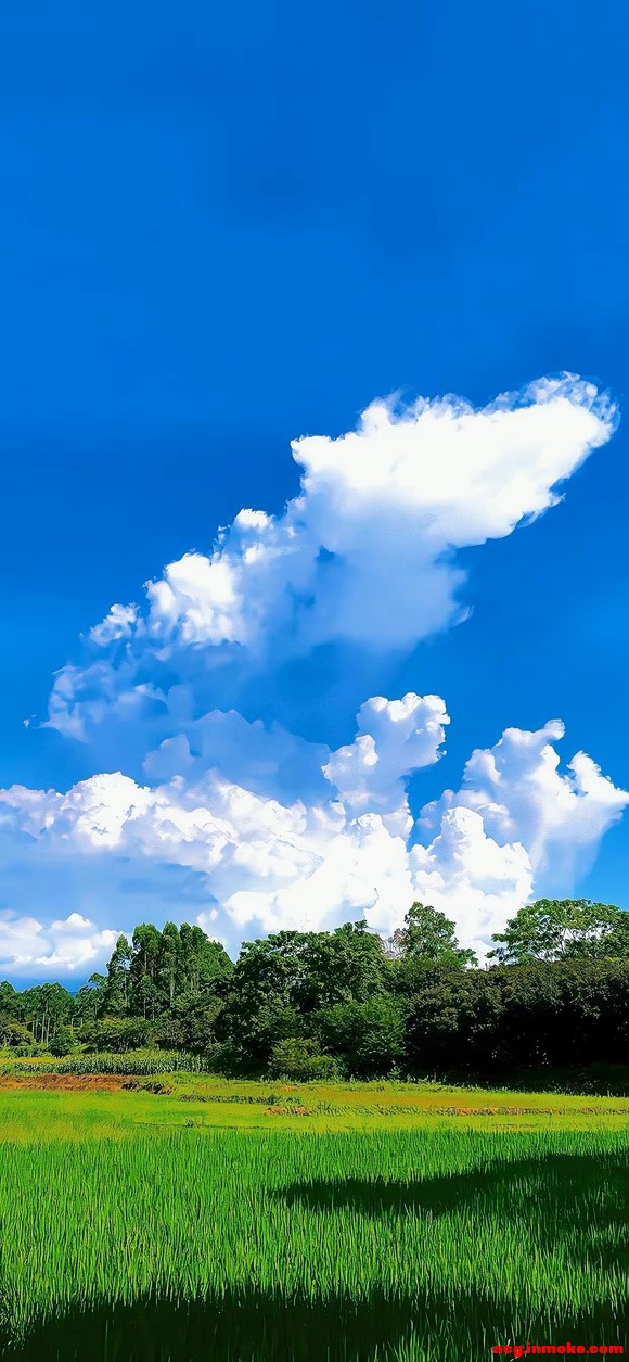 �羰��ֽ��ˮӡ-6.jpg