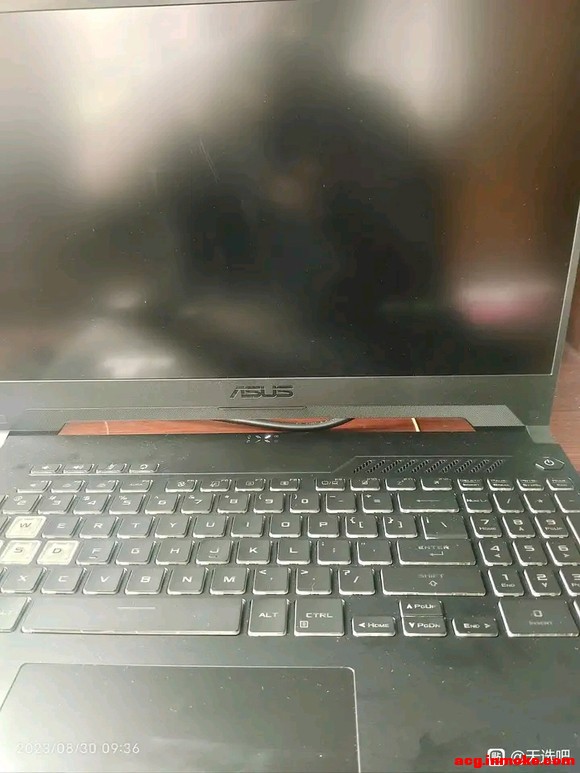 �鵰��Ӧ�ðѻͺ���ɱ�ֽ��-2.jpg