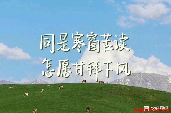 ��д|ipad��ֽ|ͬ�Ǻ������,��Ը�ʰ��·�-2.jpg